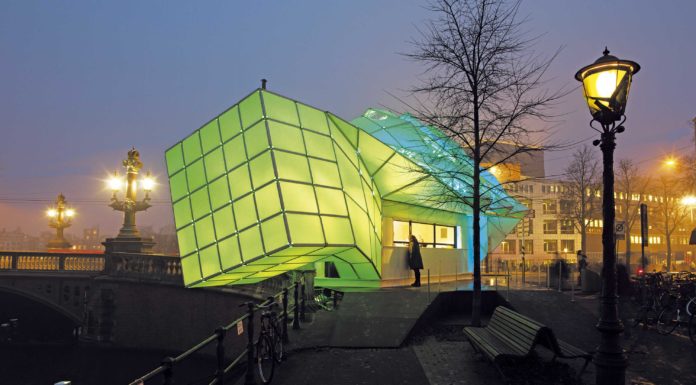 Criaturas marinas luminosas