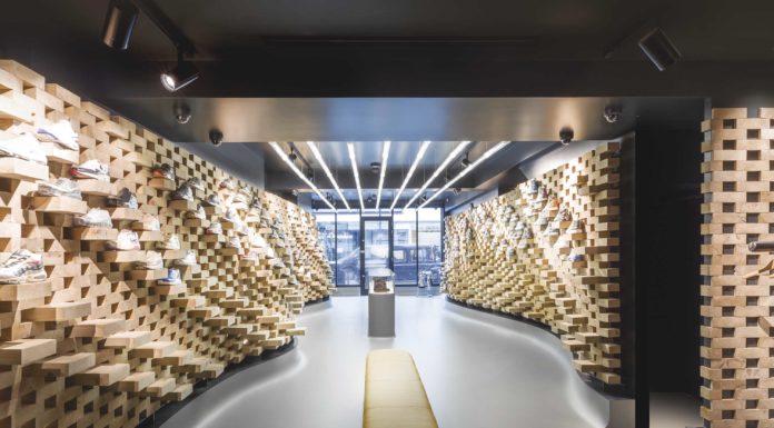 Evolución de la zapatilla