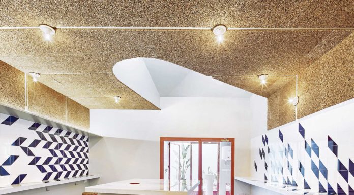 Vuelta a los orígenes