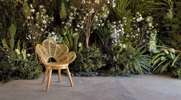 Delicadeza y exotismo