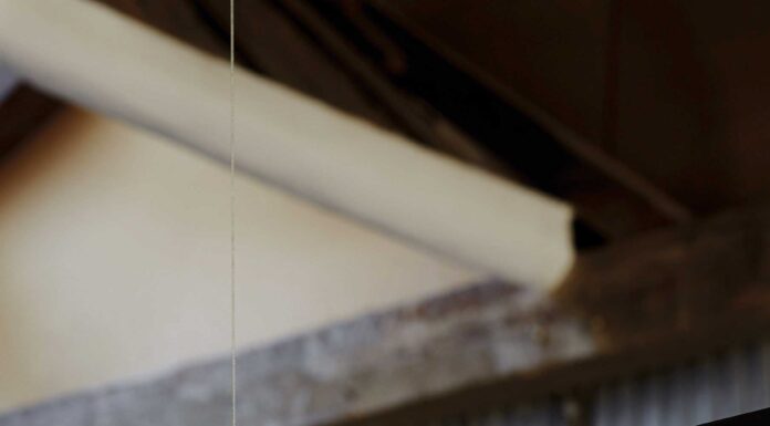 Versatilidad lumínica