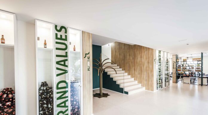 Historia de la cerveza