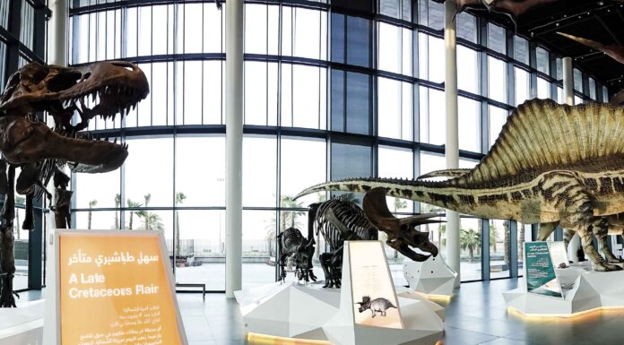 Un museo de estética pulida