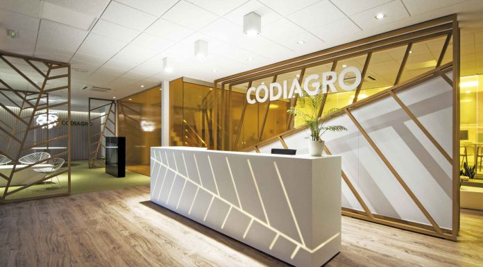 Conexión con la naturaleza