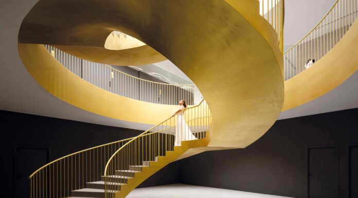 Alianzas entrelazadas