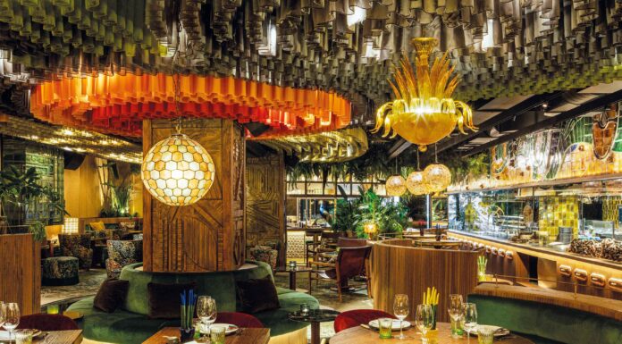 Un viaje por la selva