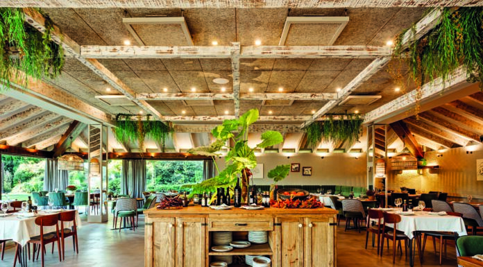 Entre la luz y la naturaleza