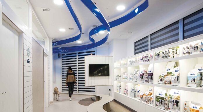 Salud en conexión con el mar