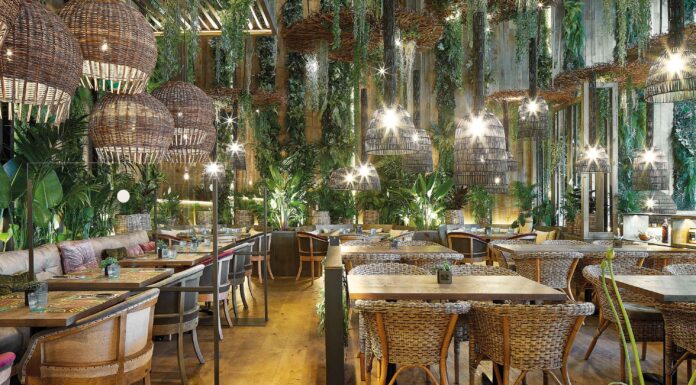 Un viaje por los sentidos