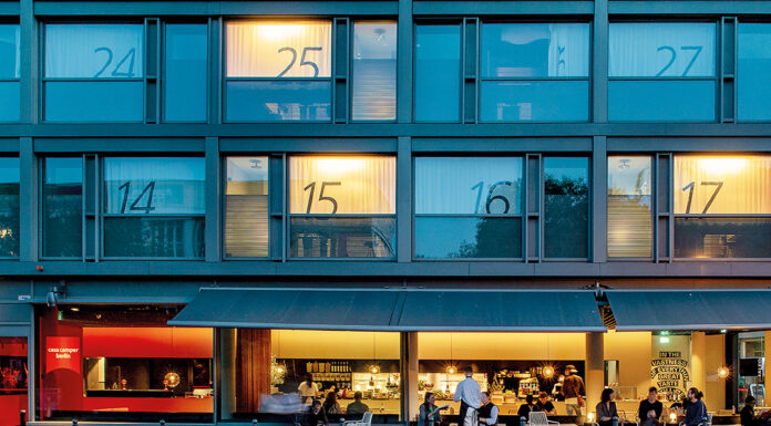 Camaleón con zapatos