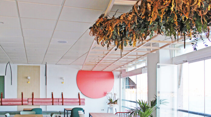 La combinación perfecta