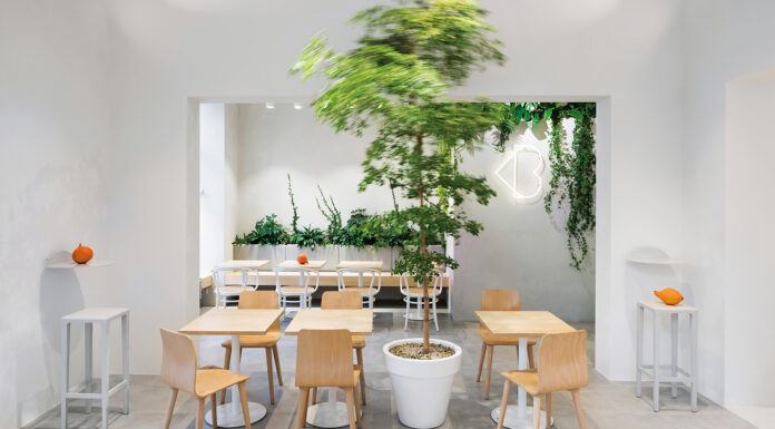 Juego de luces y sombras