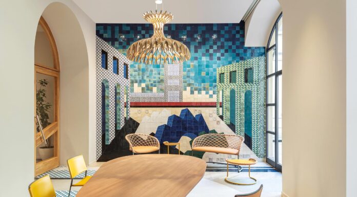 La caleidoscópica telaraña