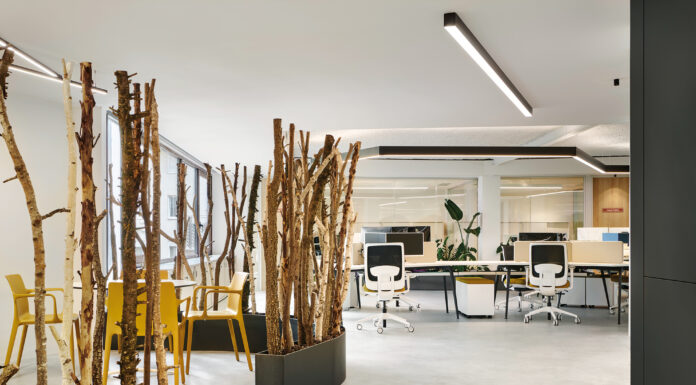 Un bosque en el Eixample