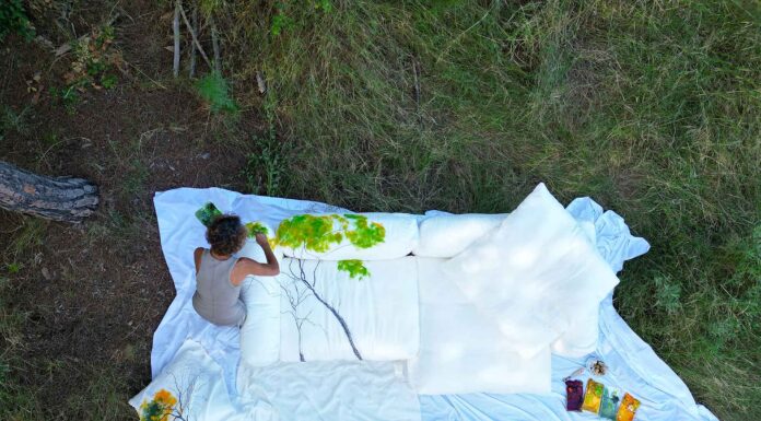 Proyecto Captor Forest Edition